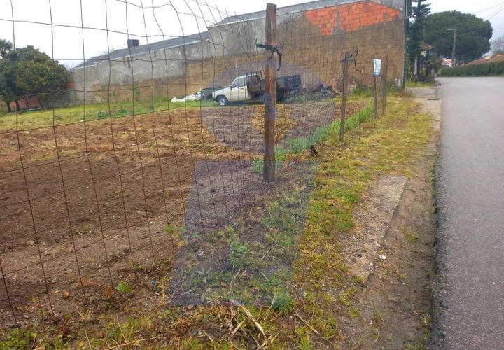 Terra a Oia, Aveiro, Oia - € 45.000 | Ref: TER_1013 - foto 1