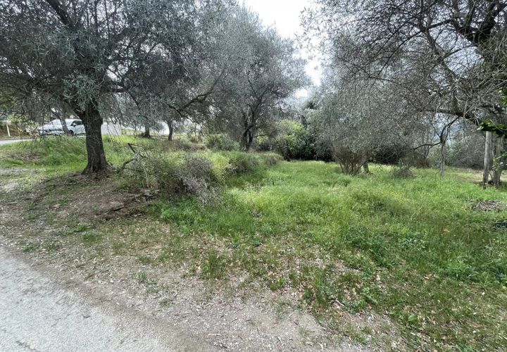 Helårsgrund i Contes, Alpes-Maritimes, Contes - € 180.000 | Ref: 572 - foto 1