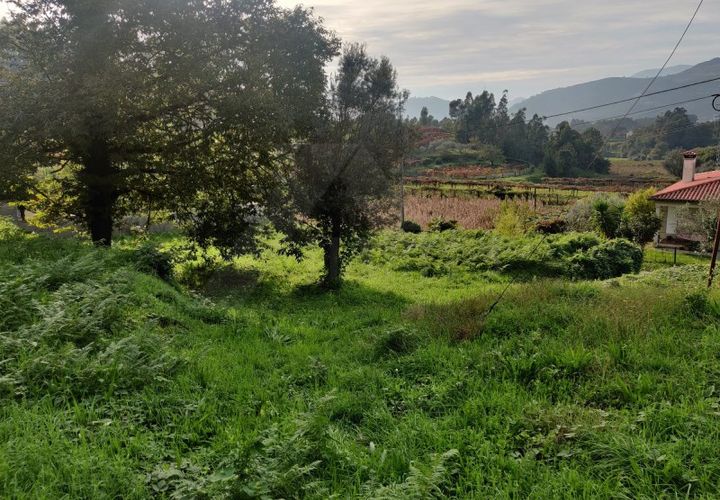 Helårsgrund i Ponte de Lima, Viana do Castelo, Ponte de Lima - € 100.000 | Ref: MDS3815 - foto 1