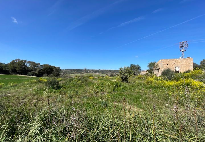 Helårsgrund i Manacor, Mallorca, Manacor - € 200.000 | Ref: 72041 - foto 1