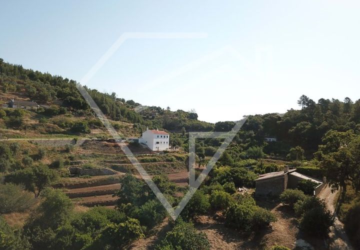 Farm i Monchique, Faro, Monchique - € 220.000 | Ref: MAS_46 - foto 1