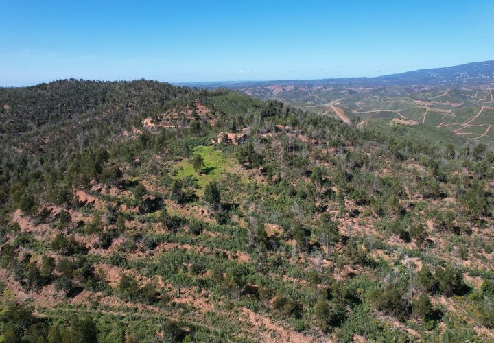 Ruinere i Silves, Faro, Silves - € 500.000 | Ref: 215 - foto 1