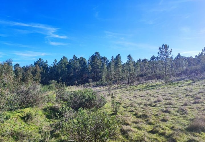 Helårsgrund i Castelo Branco, Castelo Branco, Castelo Branco - € 19.500 | Ref: SÒL_280 - foto 1