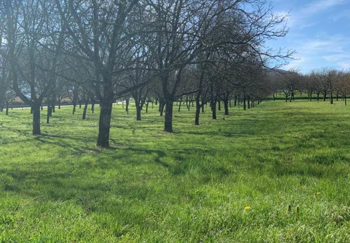 Terra a Tullins, Isere, Tullins - € 135.000 | Ref: FC_MEADIE_LOT1 - foto 1