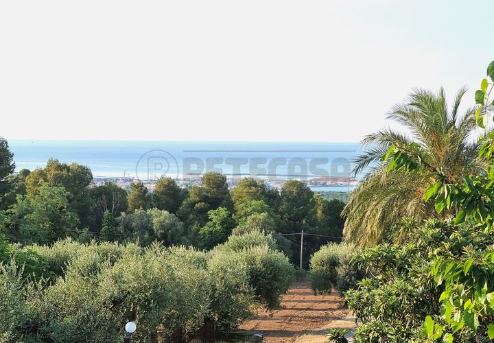 Erhvervsejendom i Pescara, Pescara, Pescara - € 255.000 | Ref: 1201-V - foto 1