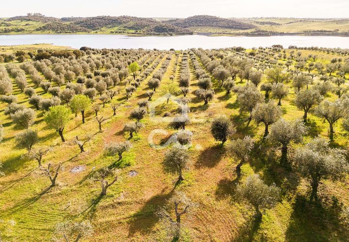 Terra a Alandroal, Evora, Alandroal - € 33.000 | Ref: 318/T/03126 - foto 1