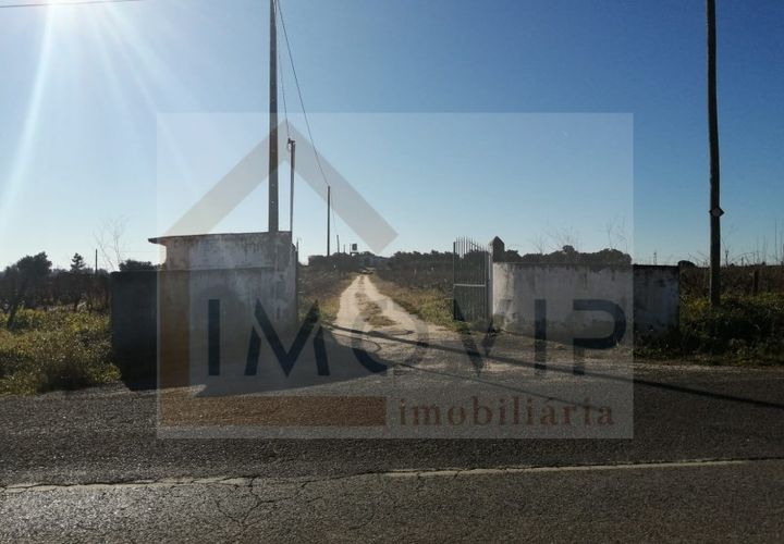 Helårsgrund i Palmela, Setubal, Palmela - € 695.000 | Ref: TER_62 - foto 1