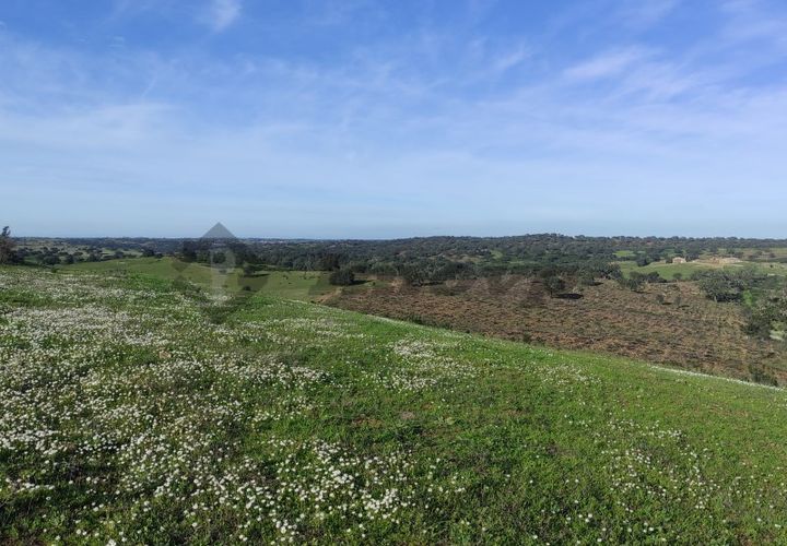 Helårsgrund i Almodovar, Beja, Almodovar - € 60.000 | Ref: SÒL_6 - foto 1