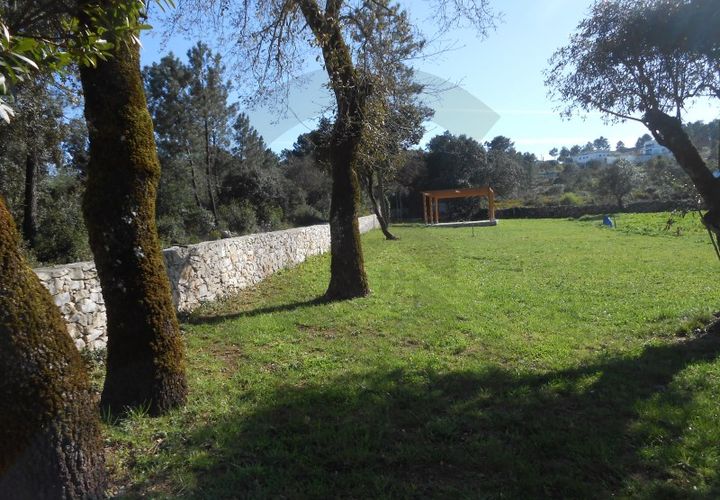 Terra a Fatima, Santarem, Fatima - € 45.000 | Ref: C0269-01510 - foto 1