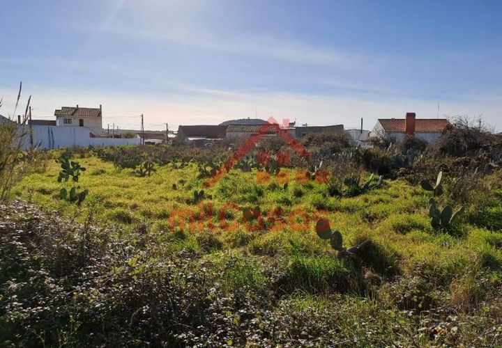Helårsgrund i Torres Vedras, Lisbon, Torres Vedras - € 200.000 | Ref: M3112 TVD - foto 1