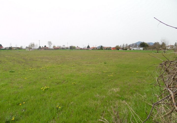Terra a Conselve, Padua, Conselve - € 145.000 | Ref: L20 - foto 1