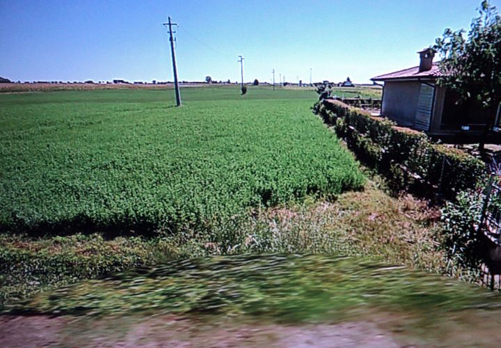 Helårsgrund i Lagosanto, Ferrara, Lagosanto - € 67.000 | Ref: VIA MANDURA - foto 1
