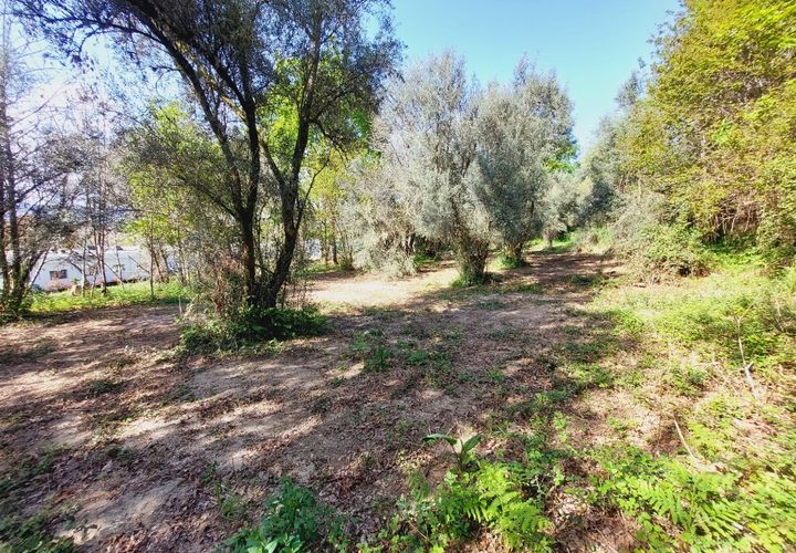 Helårsgrund i Amares, Braga, Amares - € 30.000 | Ref: 211628 - foto 1