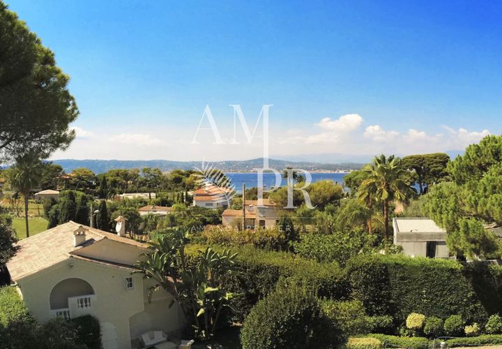 Landejendom i Antibes, Alpes-Maritimes, Antibes - € 10.700.000 | Ref: 7496V - foto 1