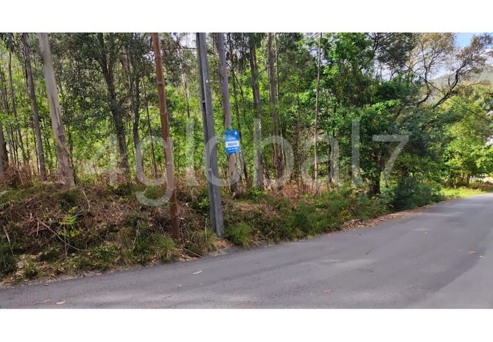 Helårsgrund i Sever do Vouga, Aveiro, Sever do Vouga - € 35.000 | Ref: TER_02234391 - foto 1