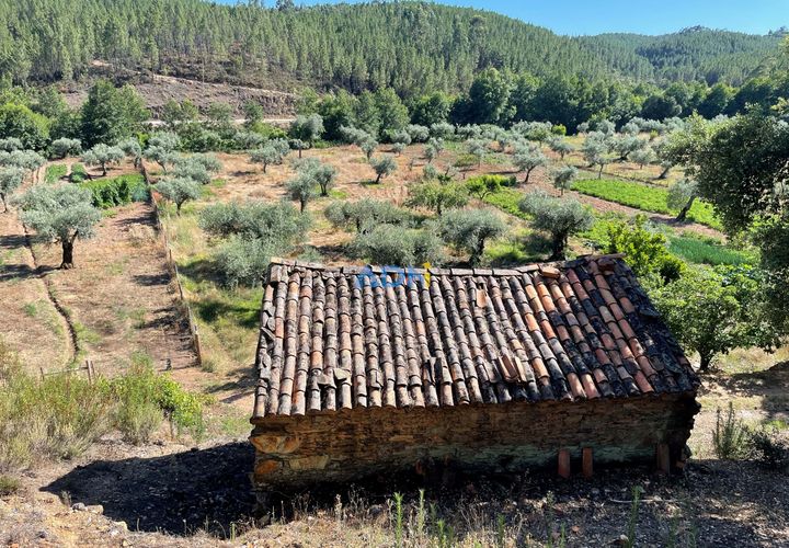 Helårsgrund i Castelo Branco, Castelo Branco, Castelo Branco - € 36.500 | Ref: ADN22070 - foto 1