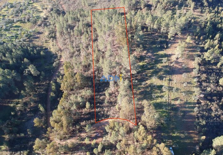Helårsgrund i Castelo Branco, Castelo Branco, Castelo Branco - € 11.000 | Ref: 123008 - foto 1