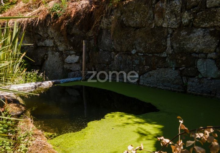 Helårsgrund i Amarante, Porto, Amarante - € 56.000 | Ref: ZMPT556772 - foto 1