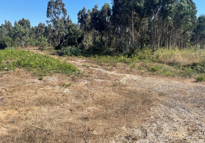 Farm i Santo Onofre e Serra do Bouro, Leiria, Santo Onofre e Serra do Bouro - € 98.000 | Ref: 143.1WCP - foto 1