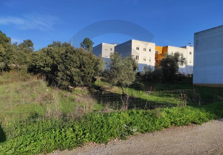 Terra em Minde, Santarem, Minde - € 31.300 | Ref: C0269-01525 - foto 1