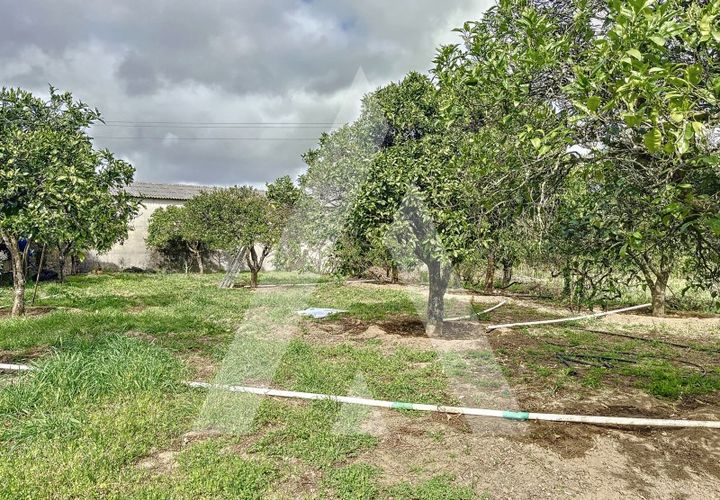 Terra a Parceiros e Azoia, Leiria, Parceiros e Azoia - € 205.000 | Ref: 1130741/23 LR - foto 1
