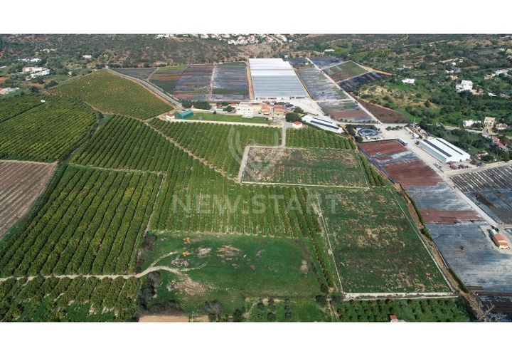 Farm i Quelfes, Faro, Quelfes - € 2.250.000 | Ref: 230047 - foto 1