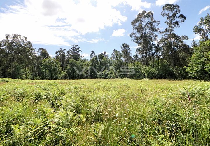 Helårsgrund i Vila Verde, Braga, Vila Verde - € 29.900 | Ref: 037-2836 - foto 1