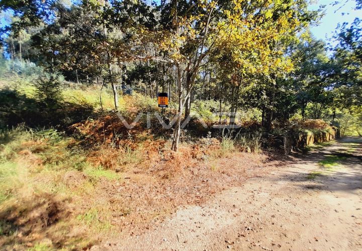 Terra a Amares, Braga, Amares - € 15.000 | Ref: A037-2934 - foto 1