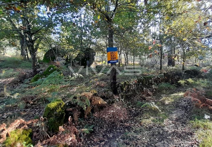 Helårsgrund i Amares, Braga, Amares - € 45.000 | Ref: A037-2935 - foto 1
