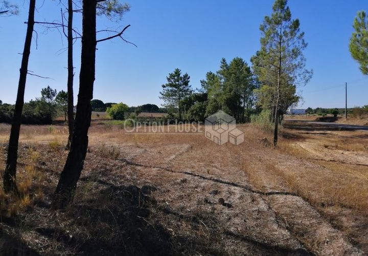 Helårsgrund i Coruche, Santarem, Coruche - € 66.500 | Ref: OH_TMI_1184 - foto 1