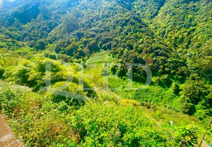Helårsgrund i Machico, Madeira, Machico - € 51.500 | Ref: DEED/693 - foto 1