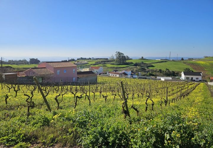 Helårsgrund i Carvalhal, Leiria, Carvalhal - € 130.000 | Ref: BL883 - foto 1