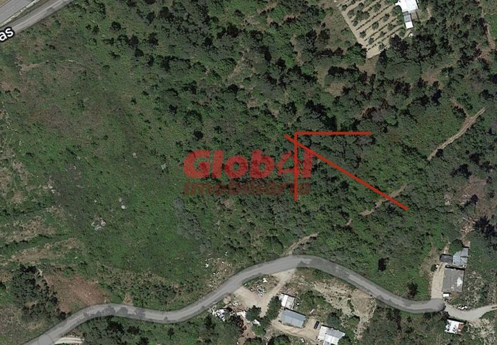 Helårsgrund i Viseu, Viseu, Viseu - € 7.500 | Ref: 189232110 - foto 1
