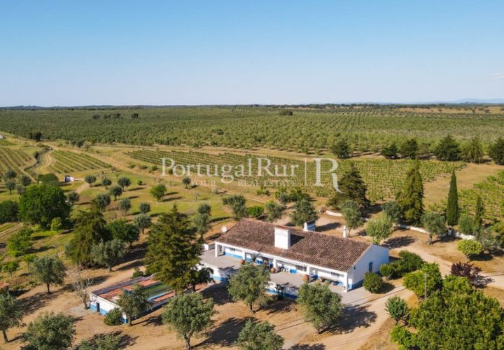 Landejendom i Avis, Portalegre, Avis - € 1.350.000 | Ref: 1010-3 - foto 1
