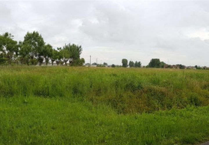 Terra a Borgo Veneto, Padua, Borgo Veneto - € 40.000 | Ref: T44 - foto 1
