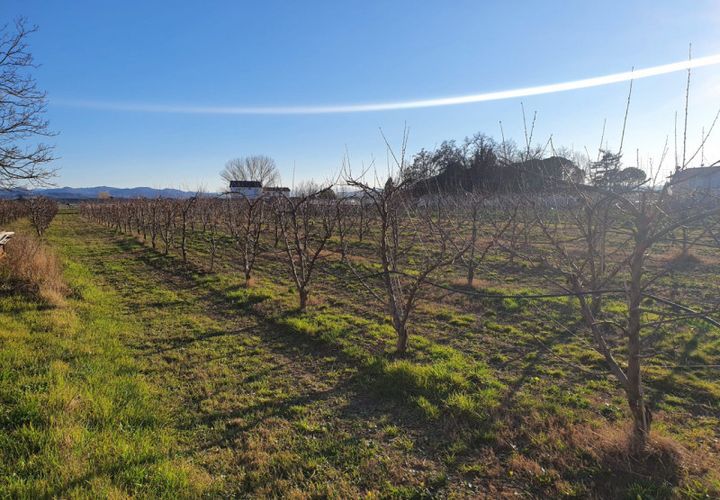 Villa i Cesena, Forli-Cesena, Cesena - € 248.000 | Ref: 2006 - foto 1