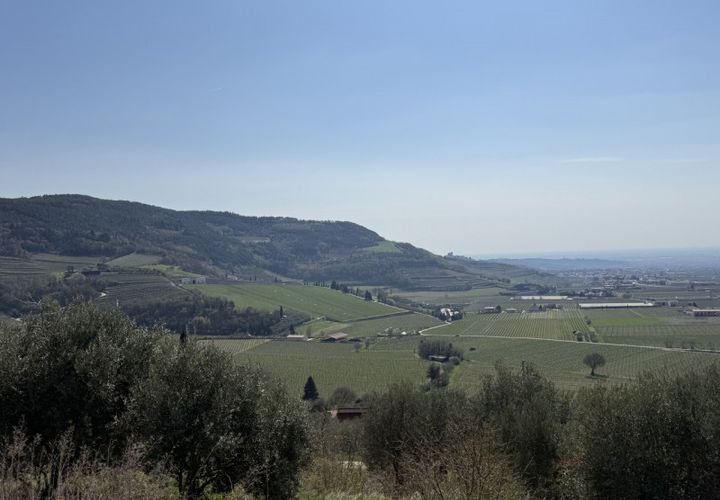 Terra a Tregnago, Verona, Tregnago - € 115.000 | Ref: 1519 - foto 1