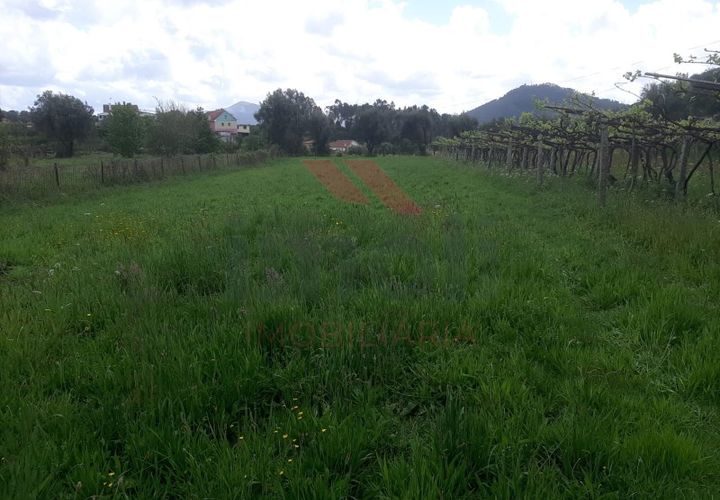 Helårsgrund i Ponte de Lima, Viana do Castelo, Ponte de Lima - € 14.000 | Ref: PTL-1112-TP-0523 - foto 1