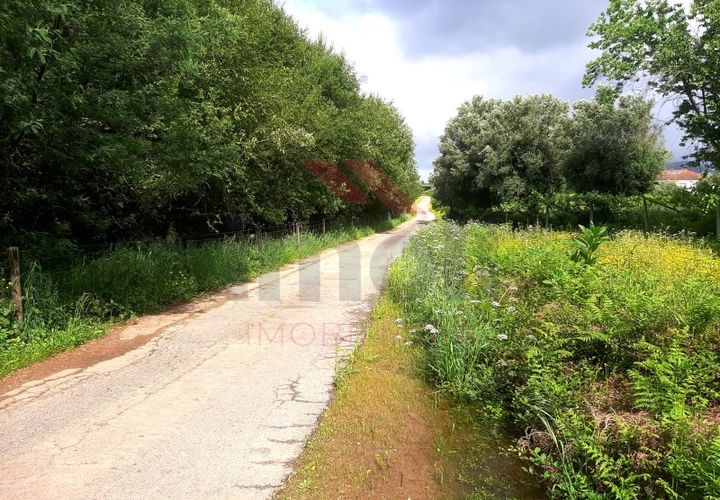 Helårsgrund i Ponte de Lima, Viana do Castelo, Ponte de Lima - € 28.500 | Ref: PTL-1113-TP-0523 - foto 1