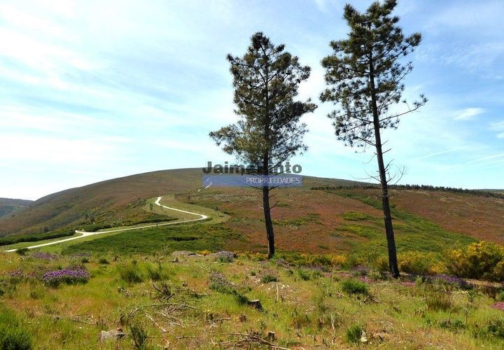Terra a Sabrosa, Vila Real, Sabrosa - € 58.000 | Ref: 9266_T - foto 1