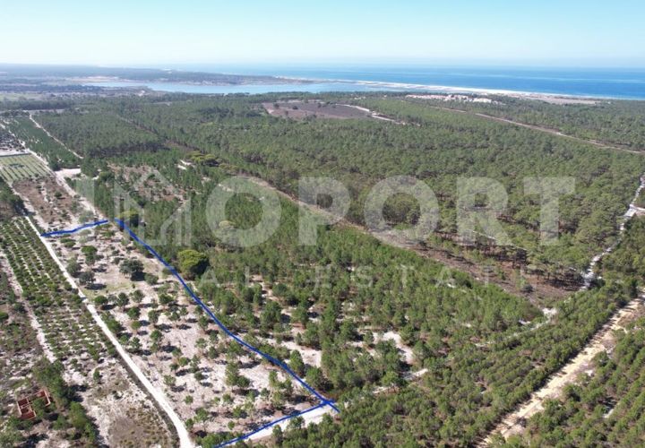 Grond in Santo Andre, Setubal, Santo Andre - € 625.000 | Ref: TER-49 - foto 1