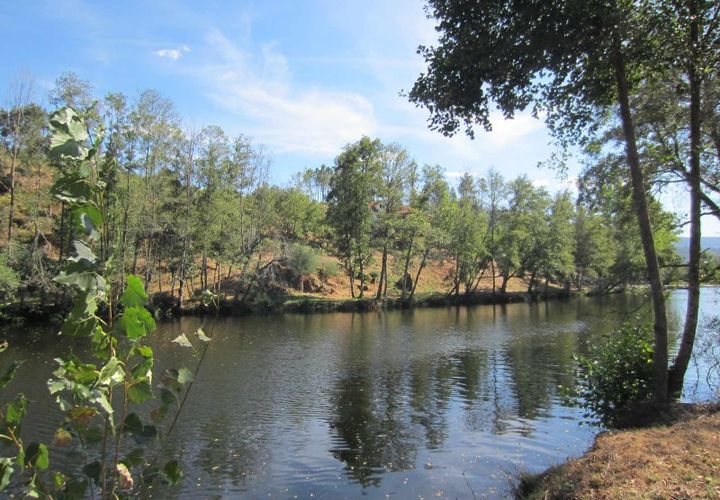 Helårsgrund i Arganil, Coimbra, Arganil - € 90.000 | Ref: 2365 - foto 1