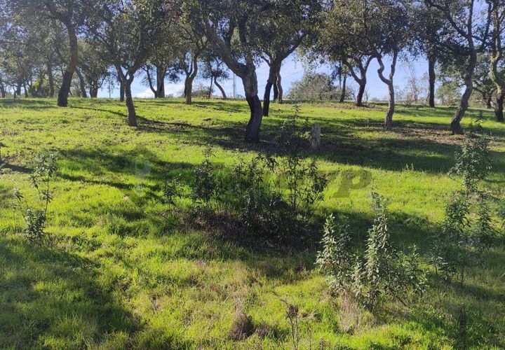 Helårsgrund i Almodovar, Beja, Almodovar - € 23.000 | Ref: SÒL_16 - foto 1