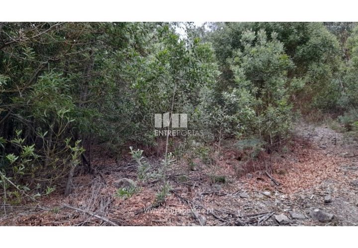 Helårsgrund i Penafiel, Porto, Penafiel - € 10.000 | Ref: MC09521 - foto 1