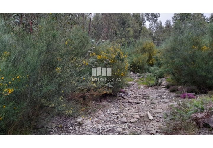 Helårsgrund i Penafiel, Porto, Penafiel - € 17.500 | Ref: MC09520 - foto 1