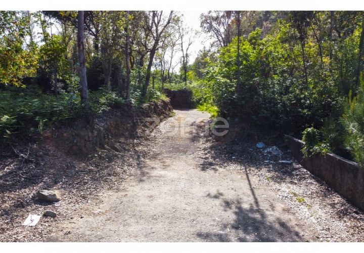 Helårsgrund i Grijo, Porto, Grijo - € 2.885.000 | Ref: ZMPT557762 - foto 1