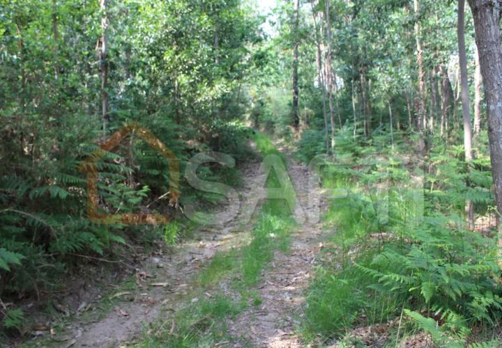 Helårsgrund i Moncao, Viana do Castelo, Moncao - € 535.000 | Ref: SAFTI:003340 - foto 1