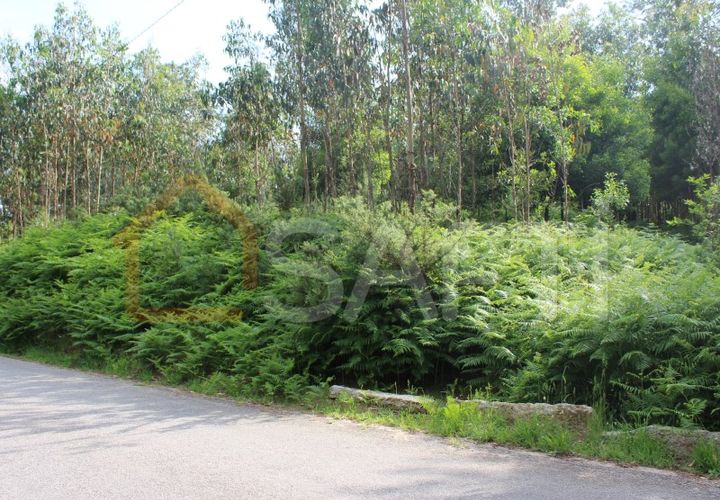 Helårsgrund i Moncao, Viana do Castelo, Moncao - € 45.000 | Ref: SAFTI:003339 - foto 1