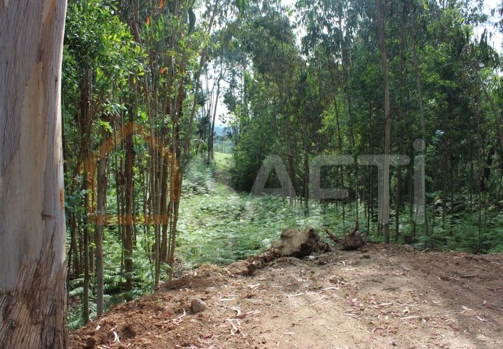 Helårsgrund i Moncao, Viana do Castelo, Moncao - € 70.000 | Ref: SAFTI:003337 - foto 1