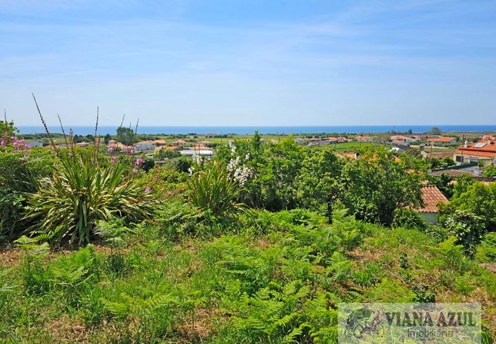 Terra a Areosa, Viana do Castelo, Areosa - € 175.000 | Ref: 2001 - foto 1